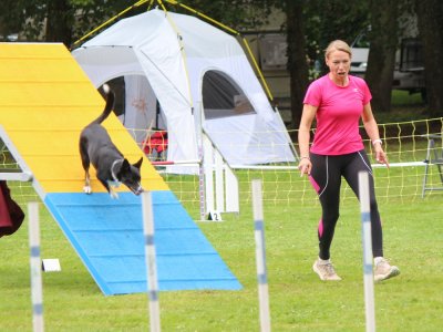 Concours d'agility,  les photos du dimanche
