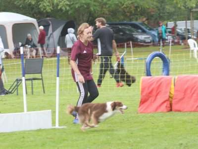 Concours d'agility, les photos du samedi