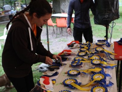 Concours d'agility,  les photos du dimanche