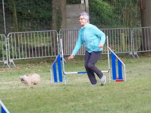 Concours d'agility, Châtenoy le royal 29 septembre 2024