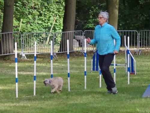 Concours d'agility, Châtenoy le royal 29 septembre 2024