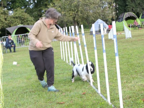 Concours d'agility, Fontaines 14 et 15 septembre 2024