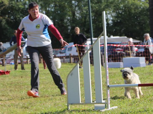 Concours d'agility, Fontaines 14 et 15 septembre 2024