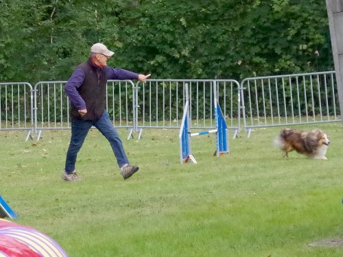 Concours d'agility, Châtenoy le royal 29 septembre 2024