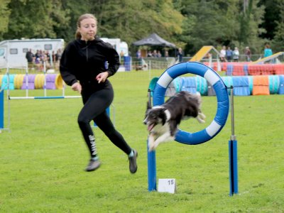 Concours d'agility,  les photos du dimanche