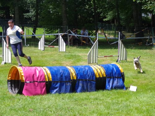 Concours d'agility, Sanvignes, 27 juillet 2024