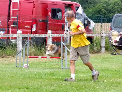 Concours d'agility, Montret, 23 juin 2024