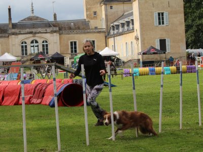 Concours d'agility,  les photos du dimanche