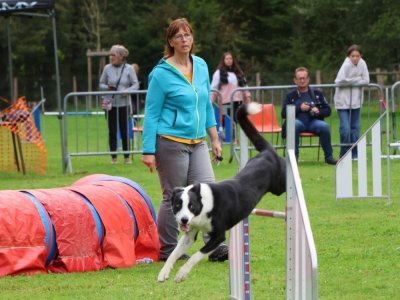 Concours d'agility,  les photos de l'organisation