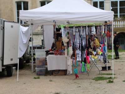 Concours d'agility,  les photos de l'organisation