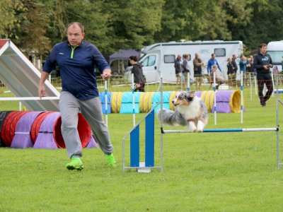 Concours d'agility,  les photos du dimanche