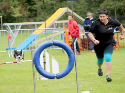 Concours d'agility,  les photos du dimanche
