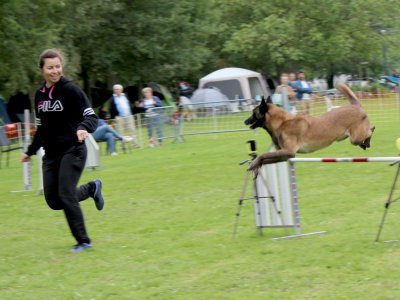Concours d'agility,  les photos du dimanche