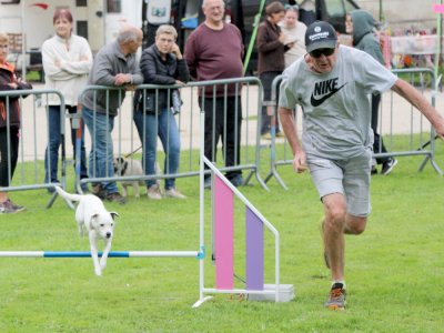 Concours d'agility, les photos du samedi