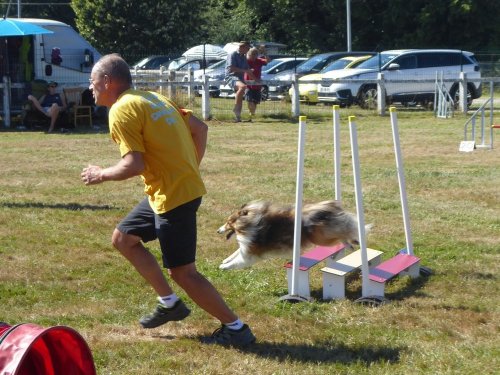 Concours d'agility, Montret, 29 juillet 2018