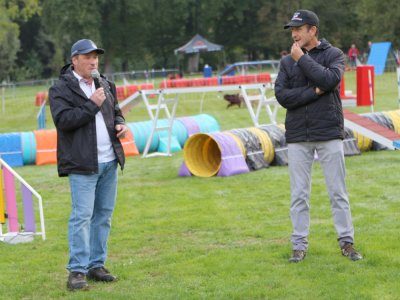 Concours d'agility, les photos du samedi