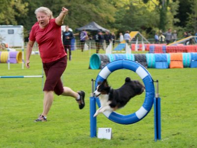 Concours d'agility,  les photos du dimanche