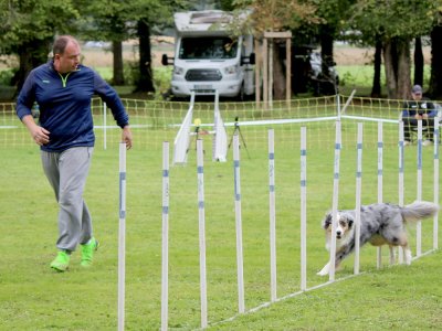 Concours d'agility,  les photos du dimanche