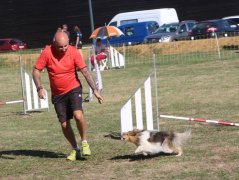 Les concurrents du samedi