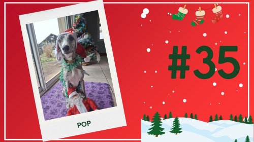 Concours photos 2025 : sur le thème de Noël