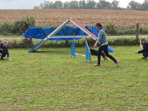 Stage d'agility, 12 octobre 2025