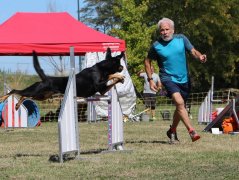 Les concurrents du samedi