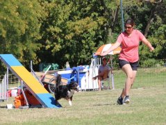 Les concurrents du samedi