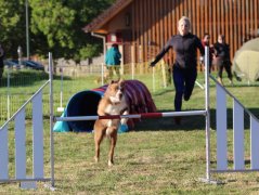 Les concurrents du samedi