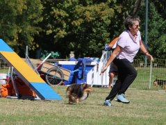 Les concurrents du samedi