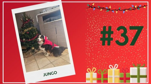 Concours photos 2025 : sur le thème de Noël