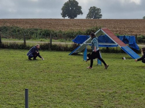 Stage d'agility, 12 octobre 2025